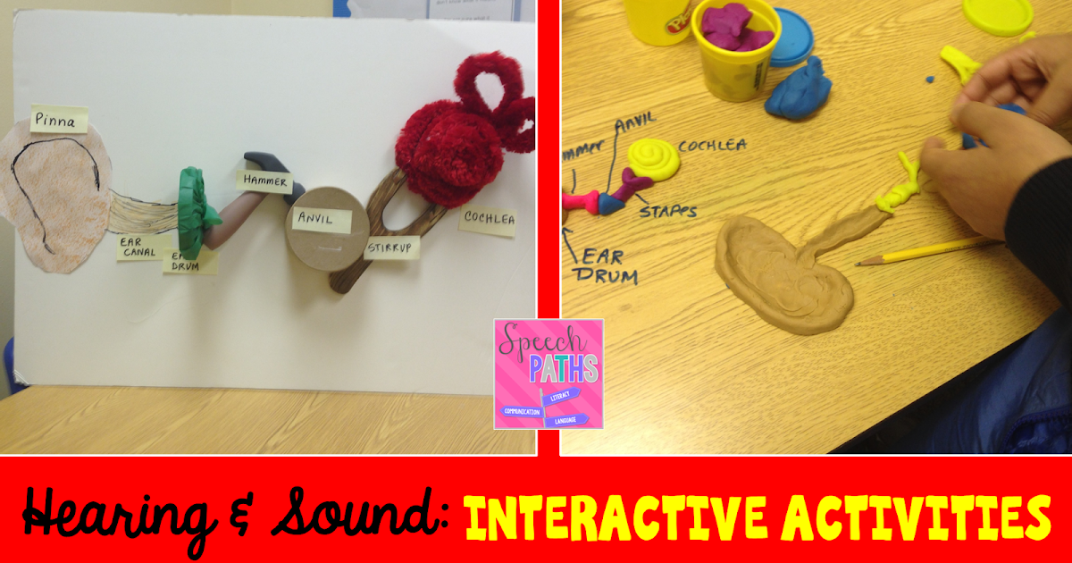 Speech Paths: Ears & Hearing: Interactive Activities