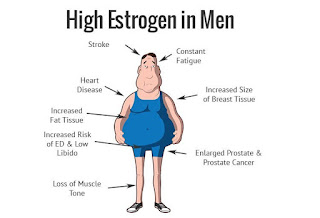 High Estrogen in Men