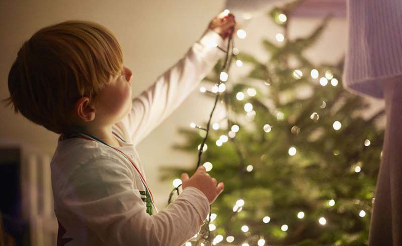How to Hang Christmas Lights Top to Bottom