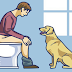 ¿Te sigue siempre tu perro al baño?... Esto es lo que intenta decirte: