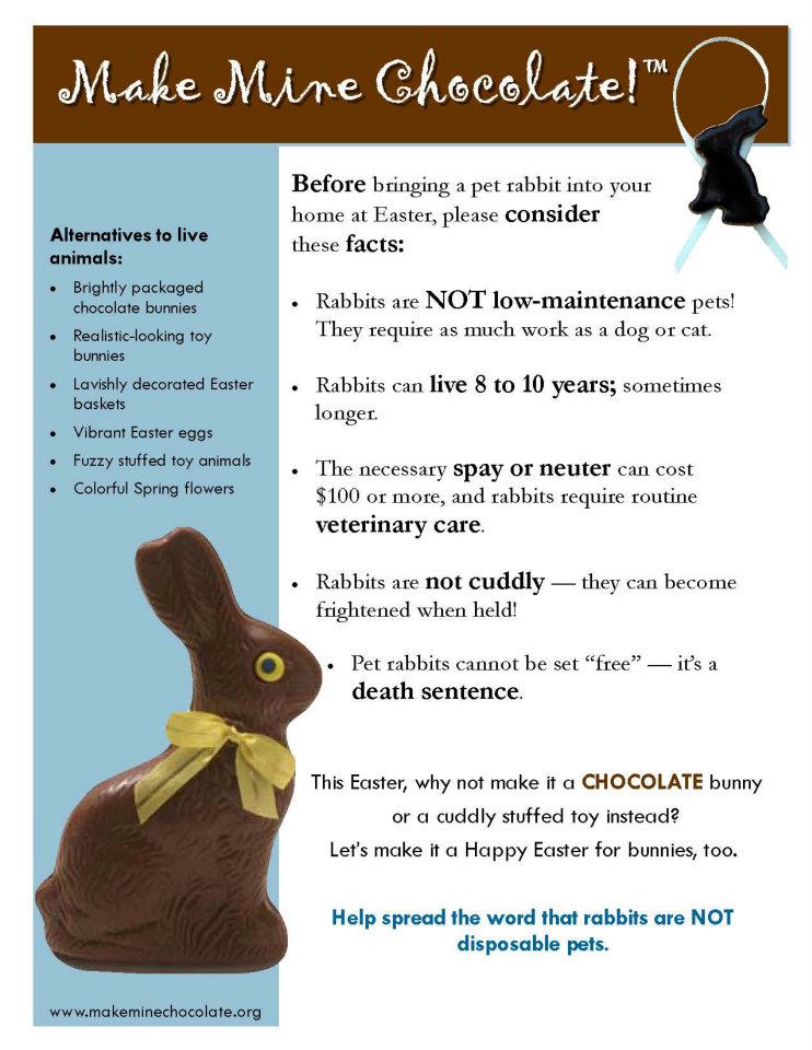 Rabbit Ramblings: Bunny advocacy memes
