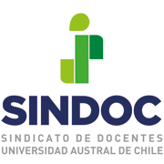 Sindicato de Docentes de la Universidad Austral de Chile