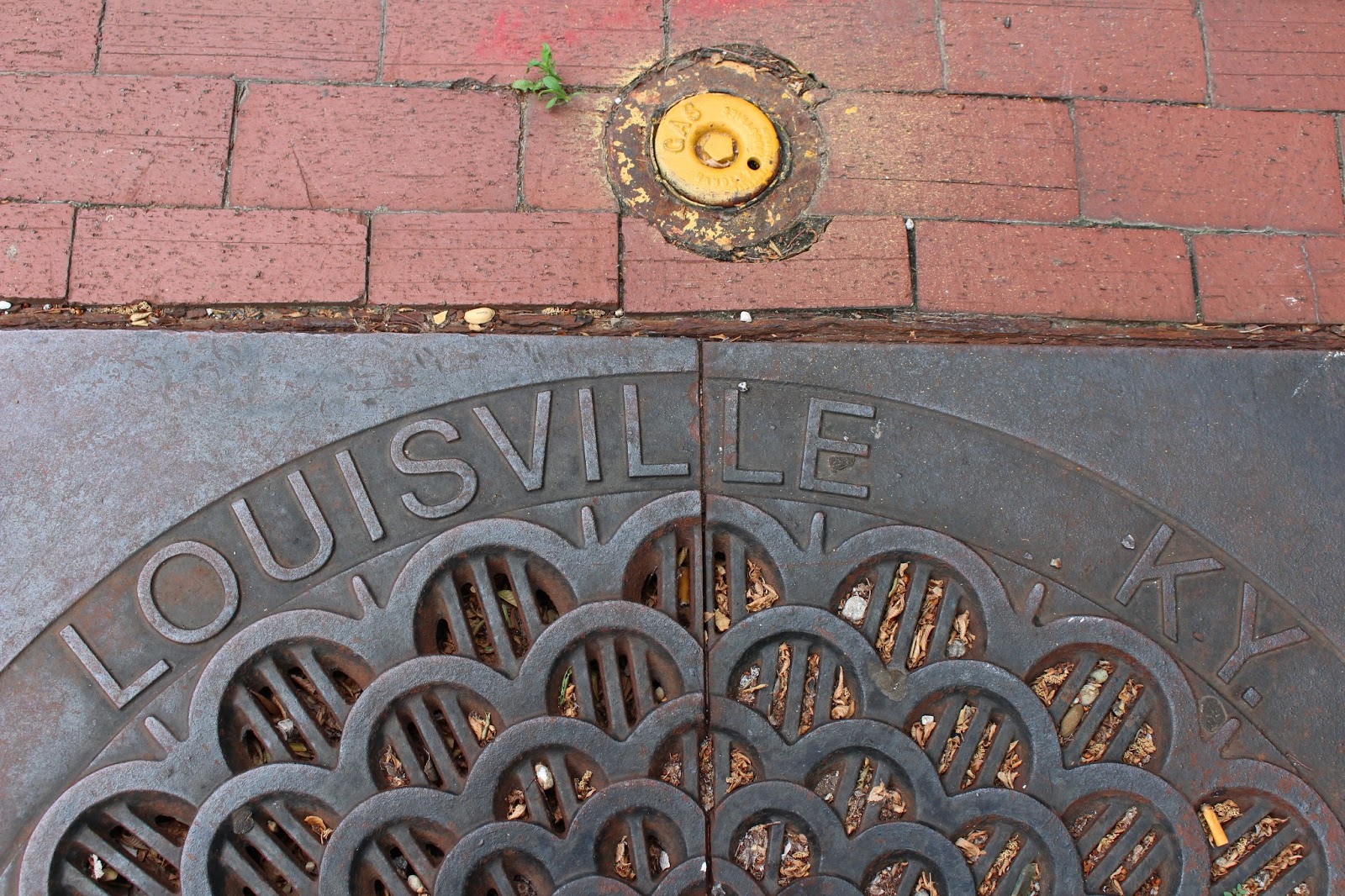 ice cream and sunshine disco balls and red penguins downtown louisville