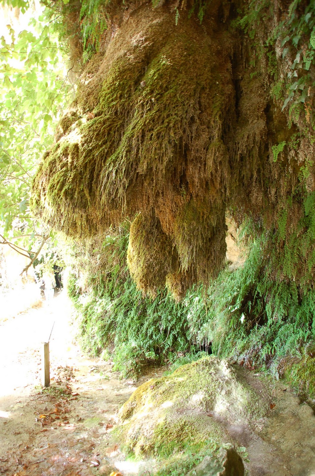 La sociedad equivocada: Un día en Sant Miquel del Fai.