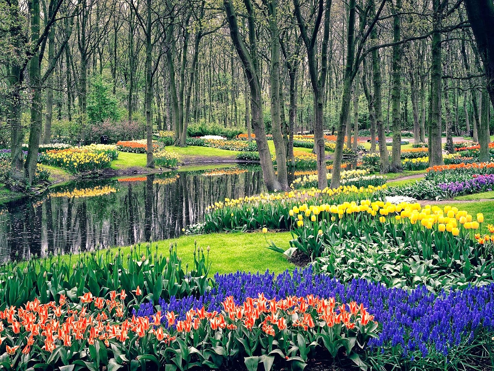 waarom naam keukenhof fieggentrio de keukenhof hoe komt het aan zijn naam waarom naam keukenhof fieggentrio de keukenhof hoe komt het aan zijn naam