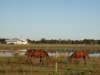 Fincas Fincas
