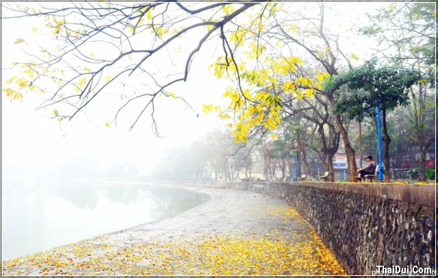 Hà Nội sương phủ lúc đông sang Hà Nội sương phủ lúc đông sang