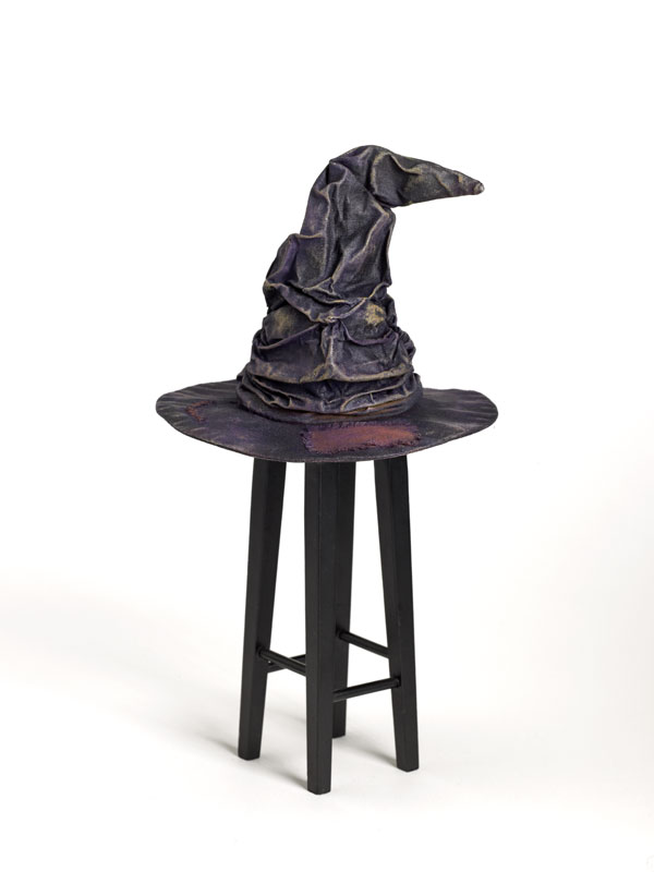 How to train your chicken How to use a sorting hat