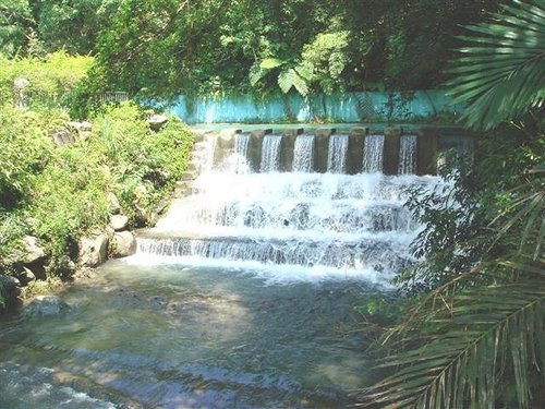 川湯春天溫泉飯店房型湯屋|湯圍風呂|湯圍溝溫泉風呂公園|溫泉魚|礁溪溫泉