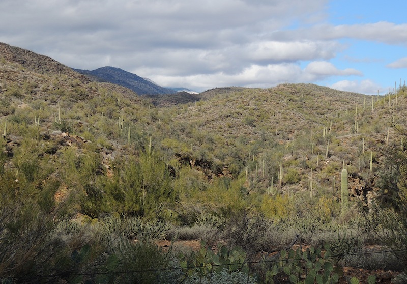 mnkcusa Black Canyon City AZ, Day After the Rain
