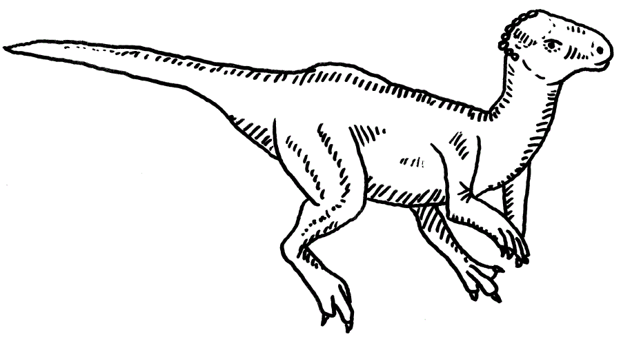 jane yolen dinosaur coloring pages - photo #16