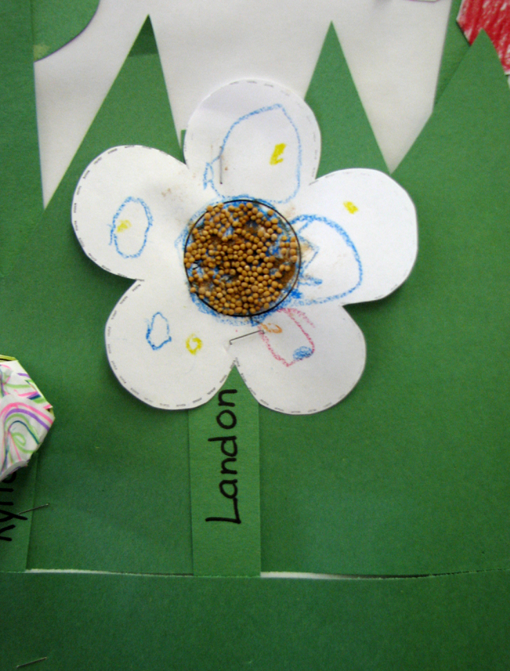 Welcome: Last Day of Preschool