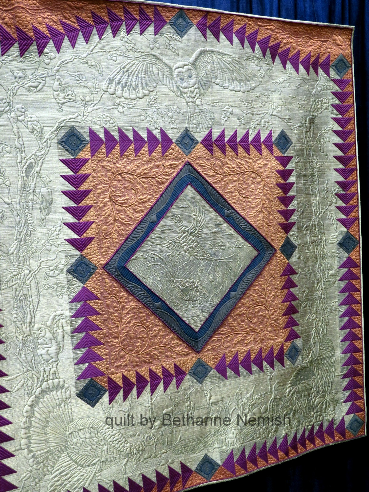 Amy's Free Motion Quilting Adventures AQS Lancaster Quilts