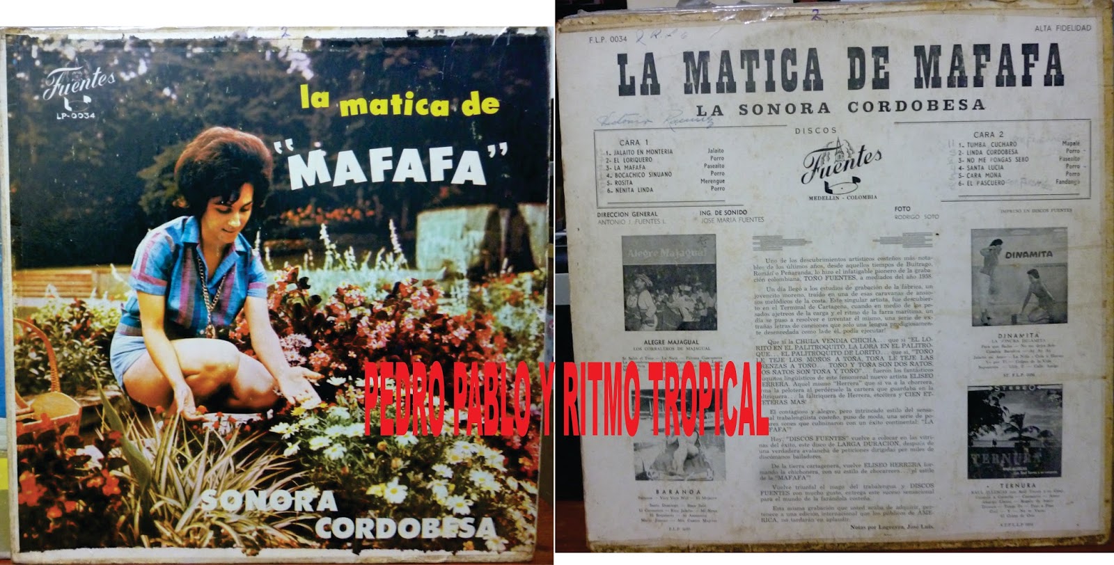 La Sonora Cordobesa - Pura Paja / Roberto Ruiz La Sonora Cordobesa - Pura Paja / Roberto Ruiz