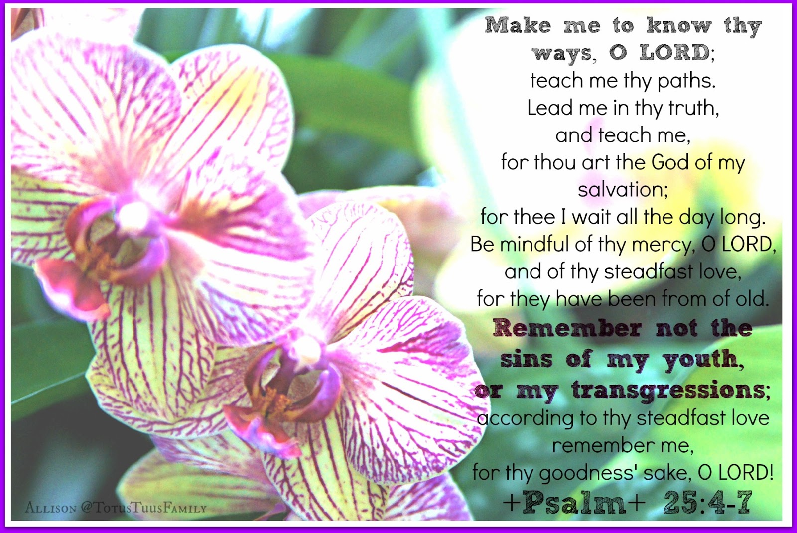 Psalm 25...My Transgressions - Totus Tuus Family & Catholic Homeschool