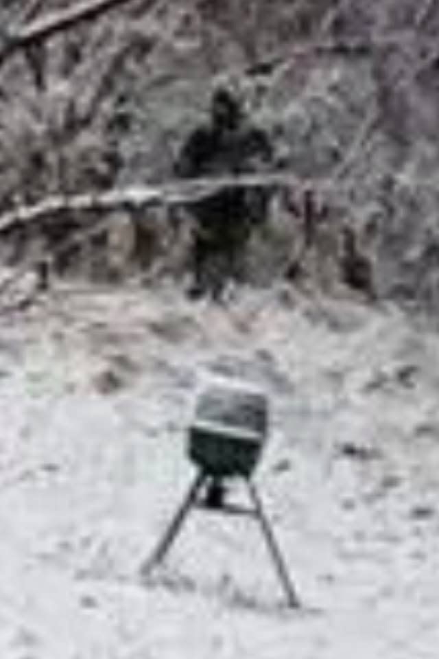 Possible Bigfoot Spotted Near Deer Feeder in Leon, West Virginia