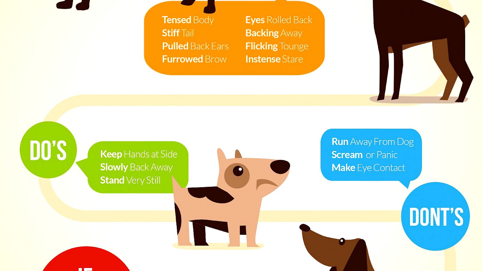 What To Do When A Dog Bites You Dog Choices