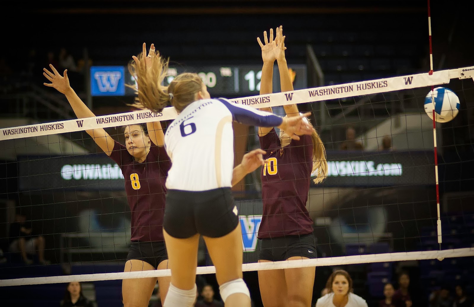 Volleyblog Seattle Pac12 Volleyball power rankings for week eight