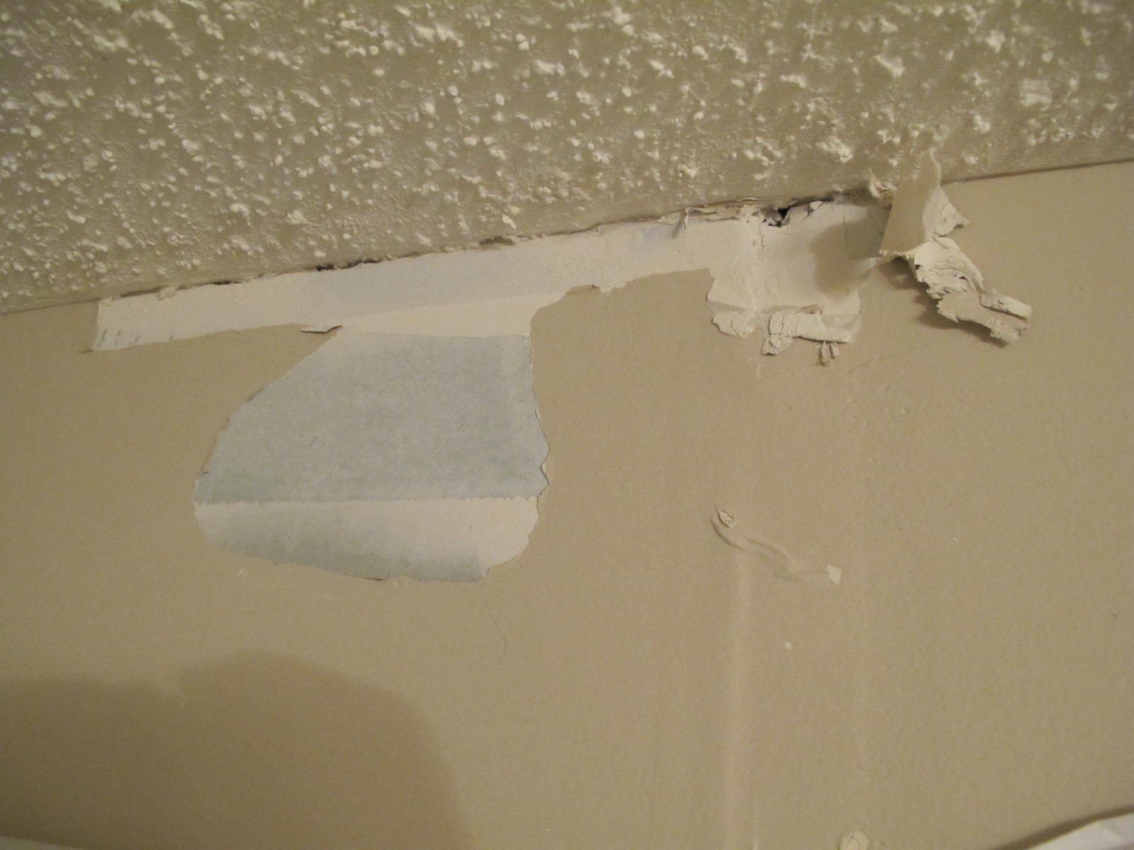 Remove Mold Spots From Bathroom Ceiling Bathroom Ceiling
