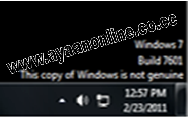 Microsoft software counterfeiting