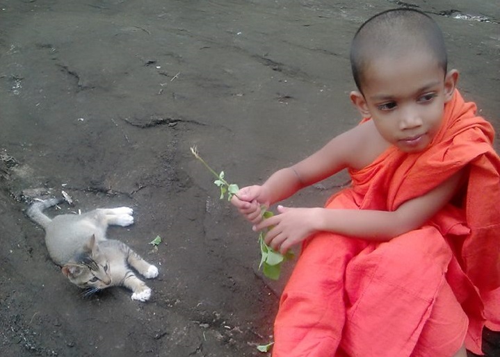 Image result for සිදු