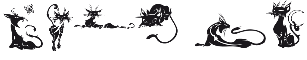 El Blog de Vania