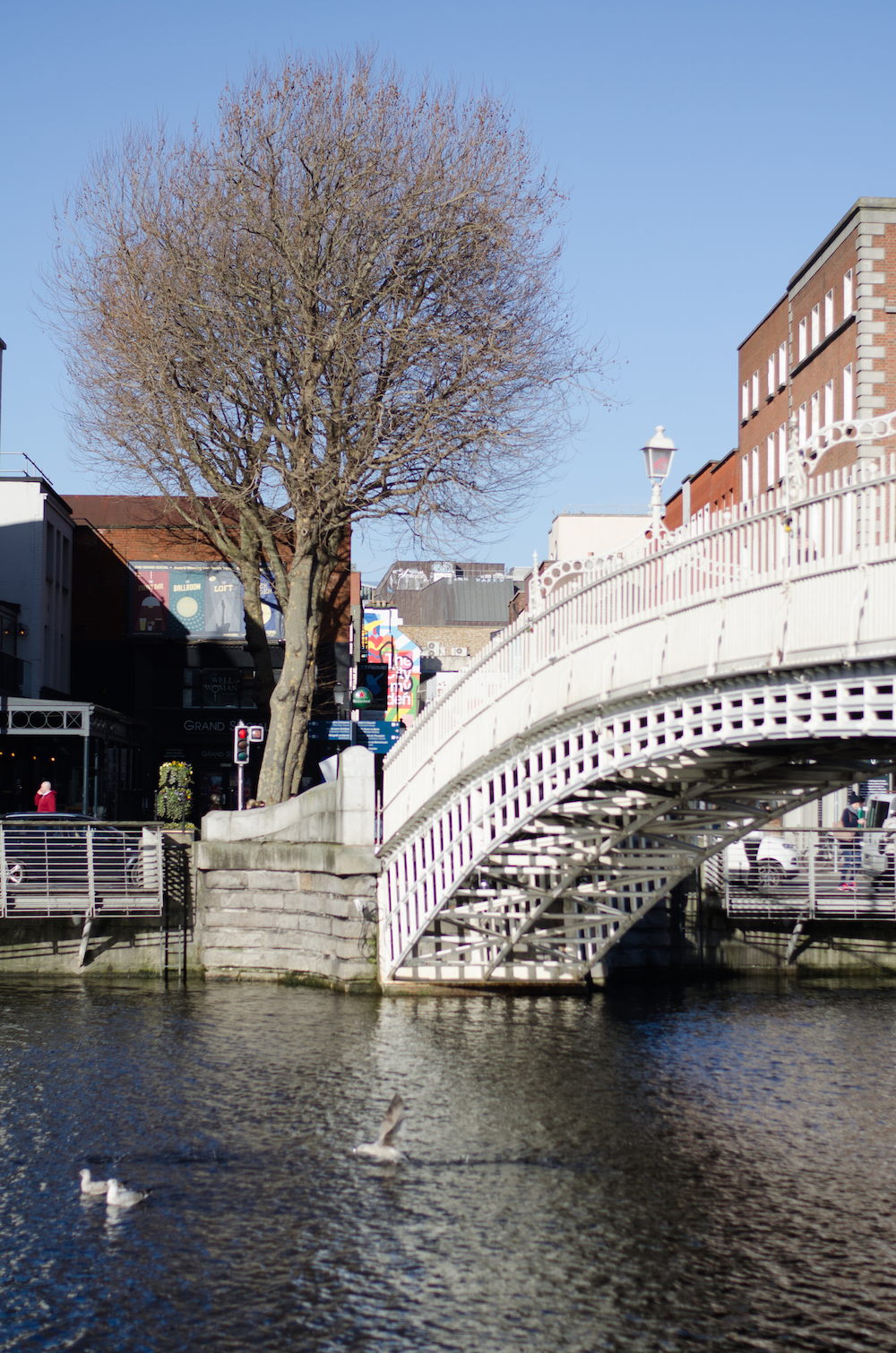Dublín
