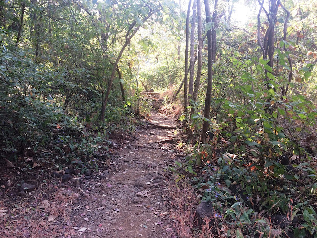 Karnala Bird Sanctuary - closest from Mumbai