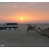 Ramblings from Saudi: How to Speak English (the Saudi Way)
