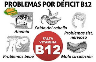 Vitamina B12: Dónde se encuentra y para qué sirve. Es una de las vitaminas esenciales para el correcto funcionamiento de nuestro organismo, cuya carencia es la principal responsable de la anemia.