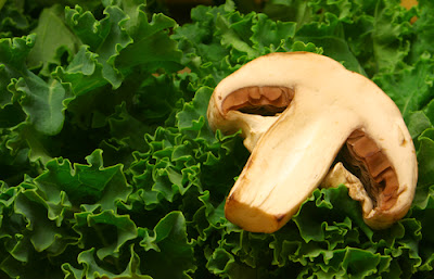 Balsamic Mushroom Autumn Salad