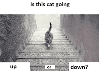 Kemana kucingnya pergi? naik tangga atau turun tangga?