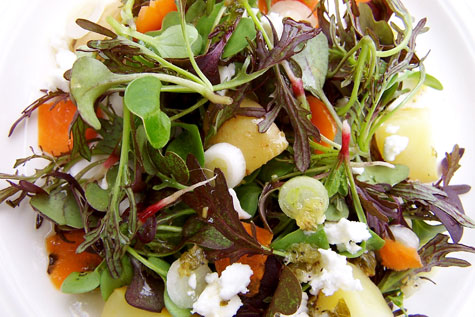 Salad_Microgreens_2