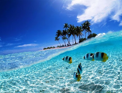 Bunaken Manado, Sulawesi Utara