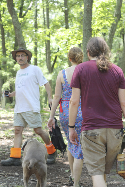 Foraging for Edible Mushrooms in Richmond Virginia 17 Apart