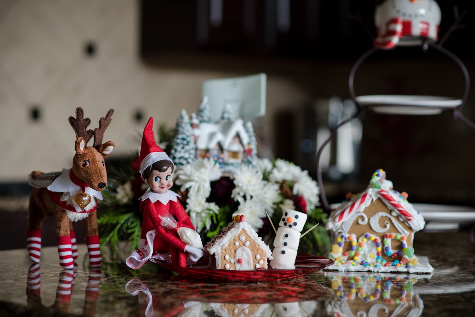 The Sweatman Family: Sprinkles the Elf {Day 24}