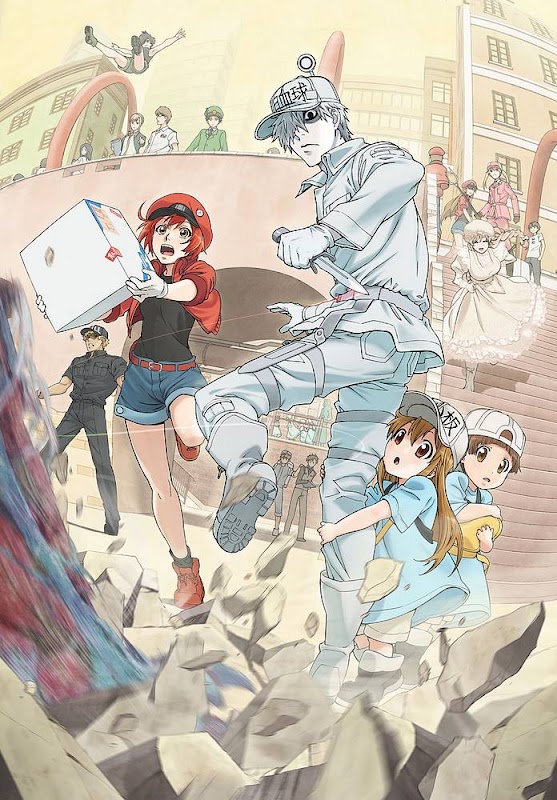 Hataraku Saibou Hataraku Saibou