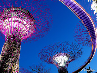 BOSQUE ARTIFICIAL. SINGAPUR