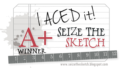 Seize the Sketch #14 Winner!