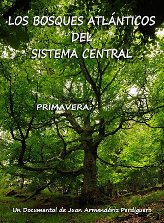 DOCUMENTAL. LOS BOSQUES ATLÁNTICOS DEL SISTEMA CENTRAL. PRIMAVERA