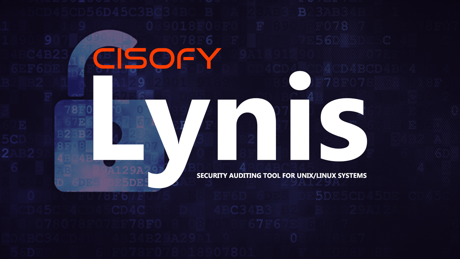 LynisSecurity Auditing Tool 