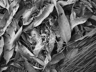 OV3: Post-processing B&W Images, Original image file OV3: Post-processing B&W Images, Original image file