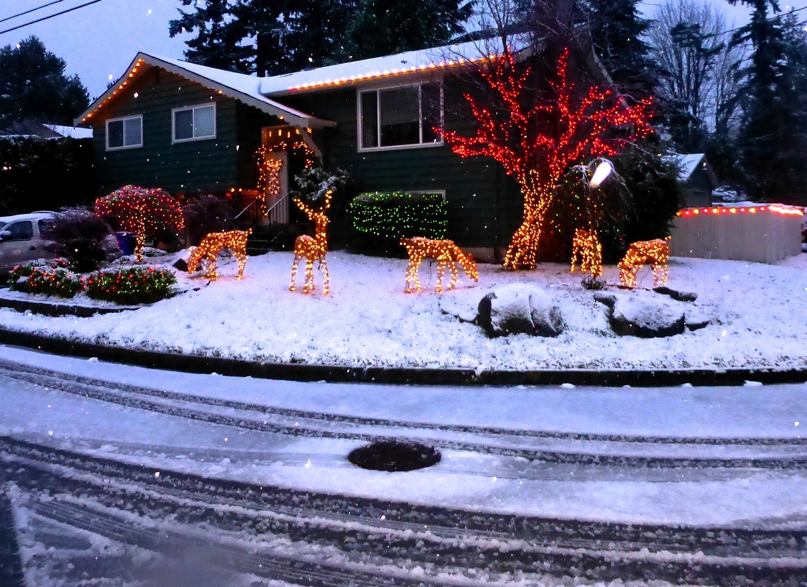 shoreline area news photo christmas lights in the snow light on snow characters