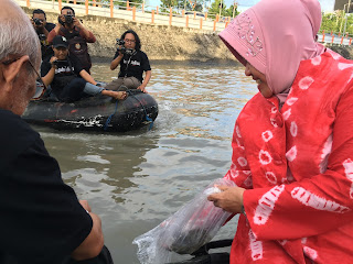 walikota surabaya saat menabur benih ikan dikalimas walikota surabaya saat menabur benih ikan dikalimas