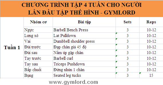 Chương trình tập thể hình 4 tuần cho người mới
