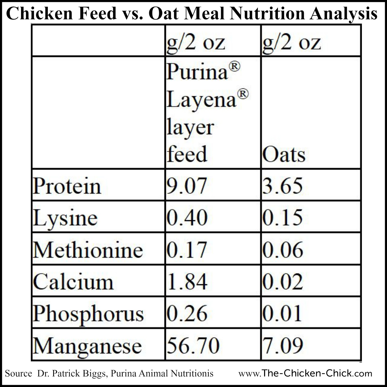 The Shocking Effect of Feeding an Oatmeal Breakfast on Chickens