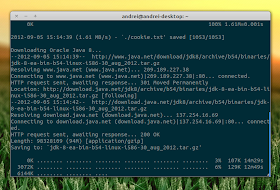 oracle java 8