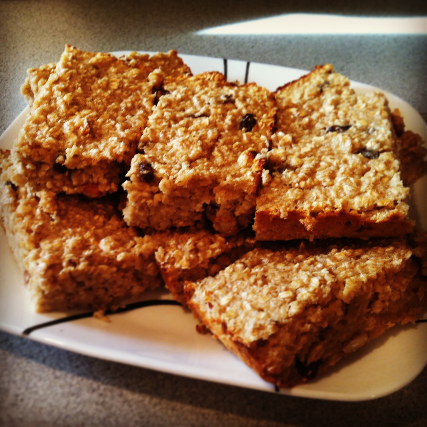 WC Personal Training Oatmeal Raisin Protein Bars