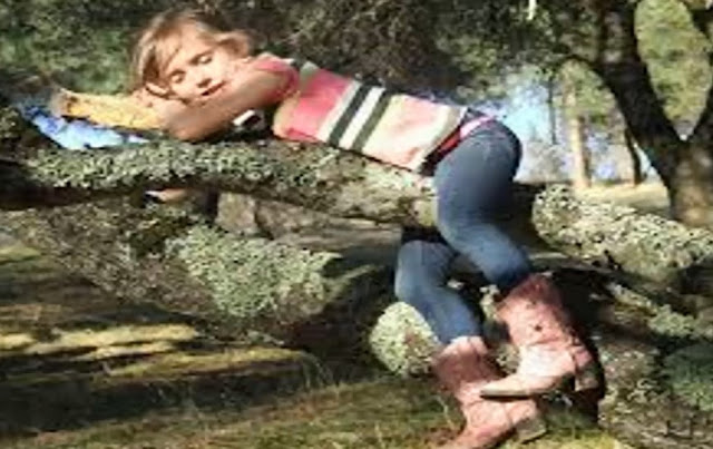 যে দেশের নারীরা বিয়ের আগ পর্যন্ত গাছে রাত যাপন করেন।