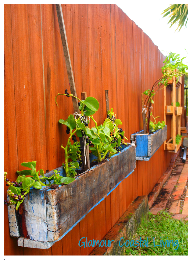 Vertical herb garden & planter box Glamour Coastal Living